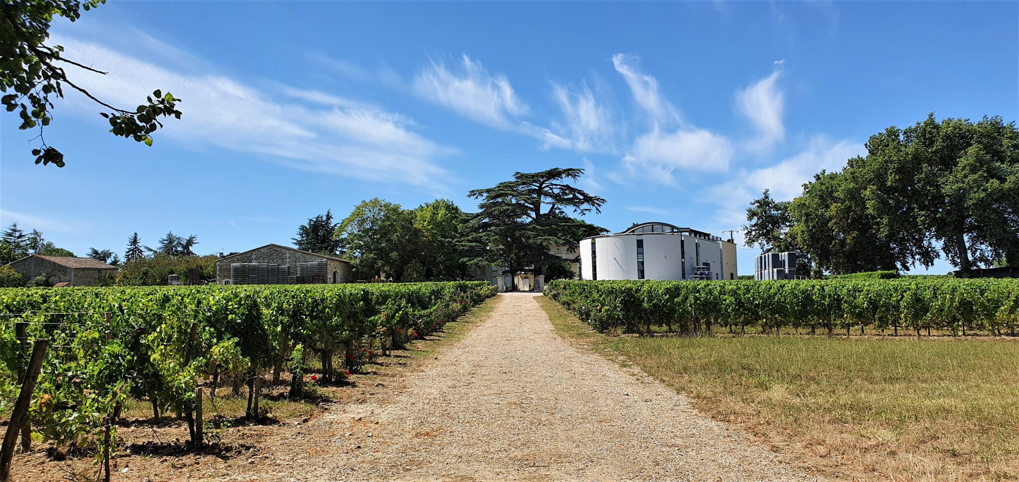 Château Dalem in Fronsac. vvWine
